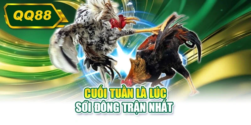 Cuối tuần là lúc sới đông trận nhất 