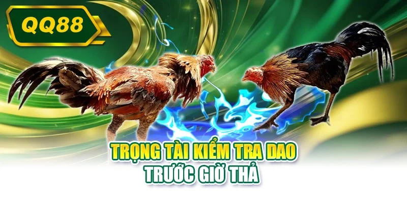 Trọng tài kiểm tra dao trước giờ thả 